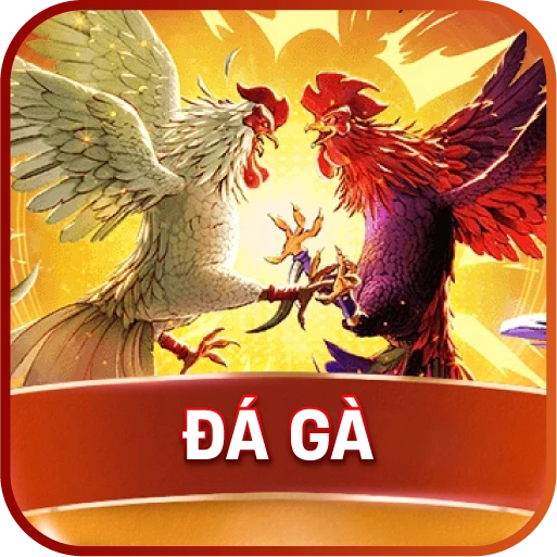 Đá Gà Ao88 – Trực Tiếp Trận Đấu Mỗi Ngày Cho Kê Thủ